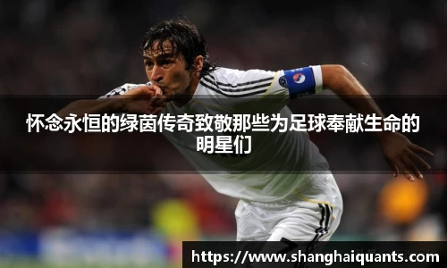 怀念永恒的绿茵传奇致敬那些为足球奉献生命的明星们